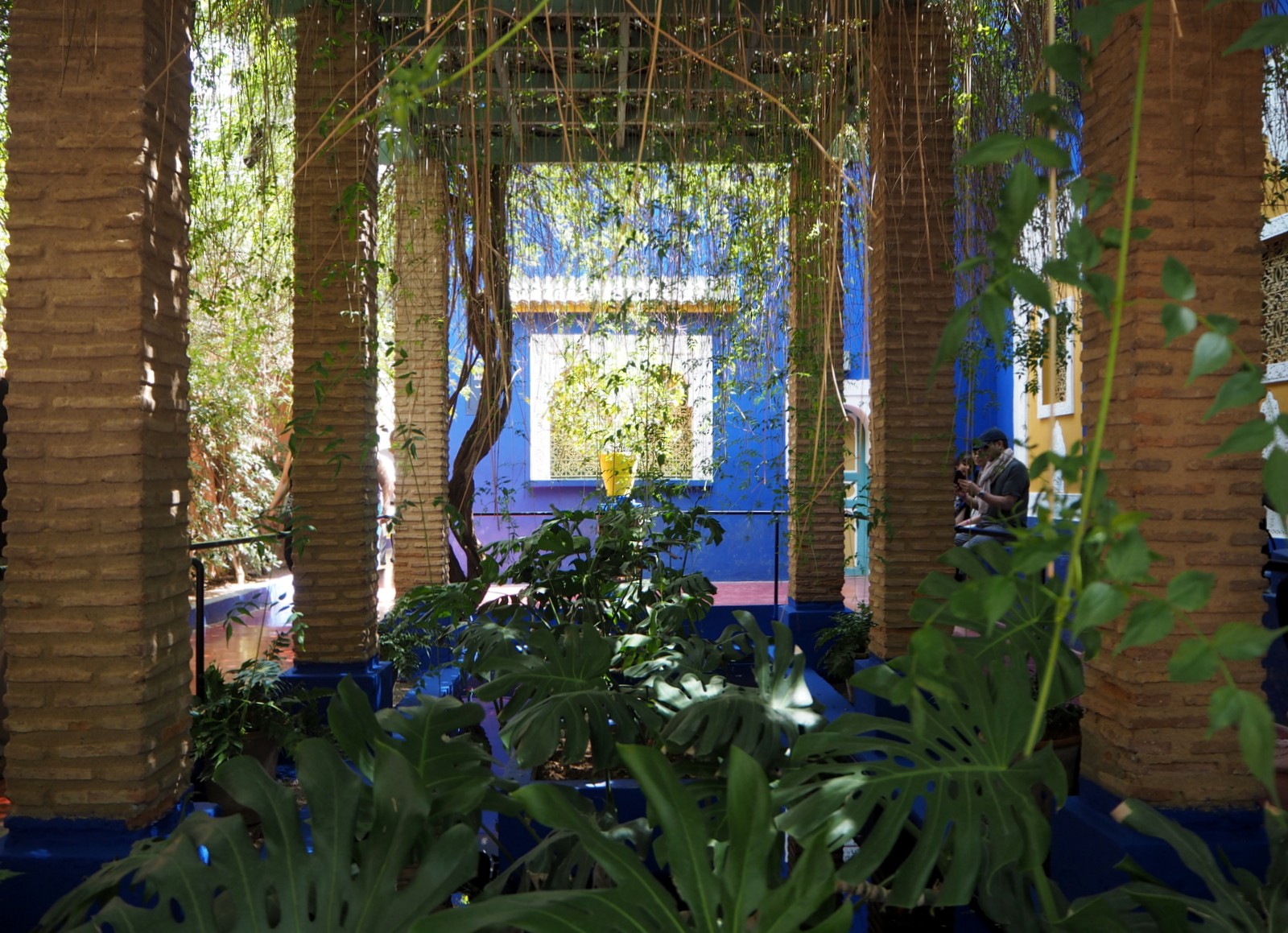 Jardin Majorelle Marrakesh