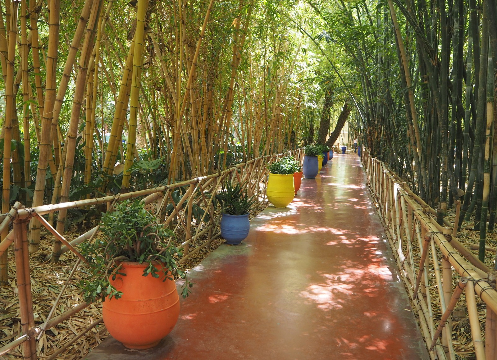 Jardin Majorelle Marrakesh