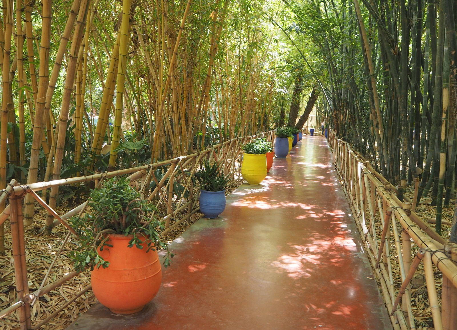 Jardin Majorelle Marrakeshissa