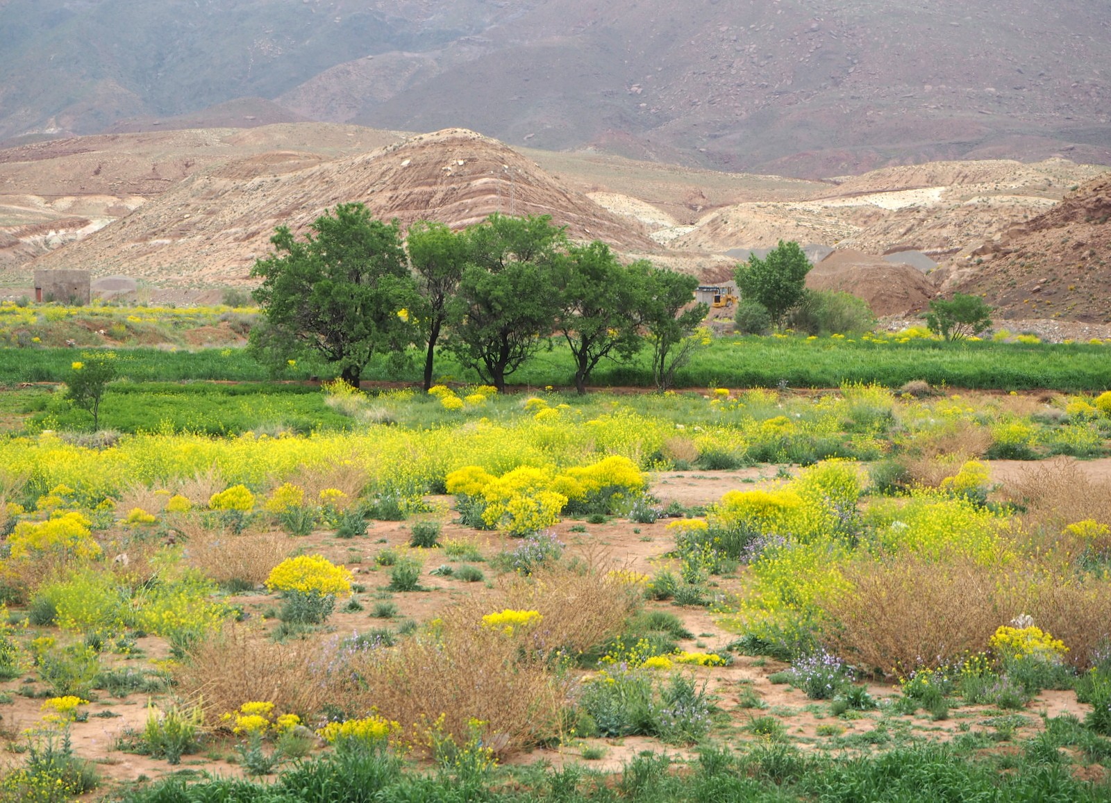 Kevät Atlasvuorilla