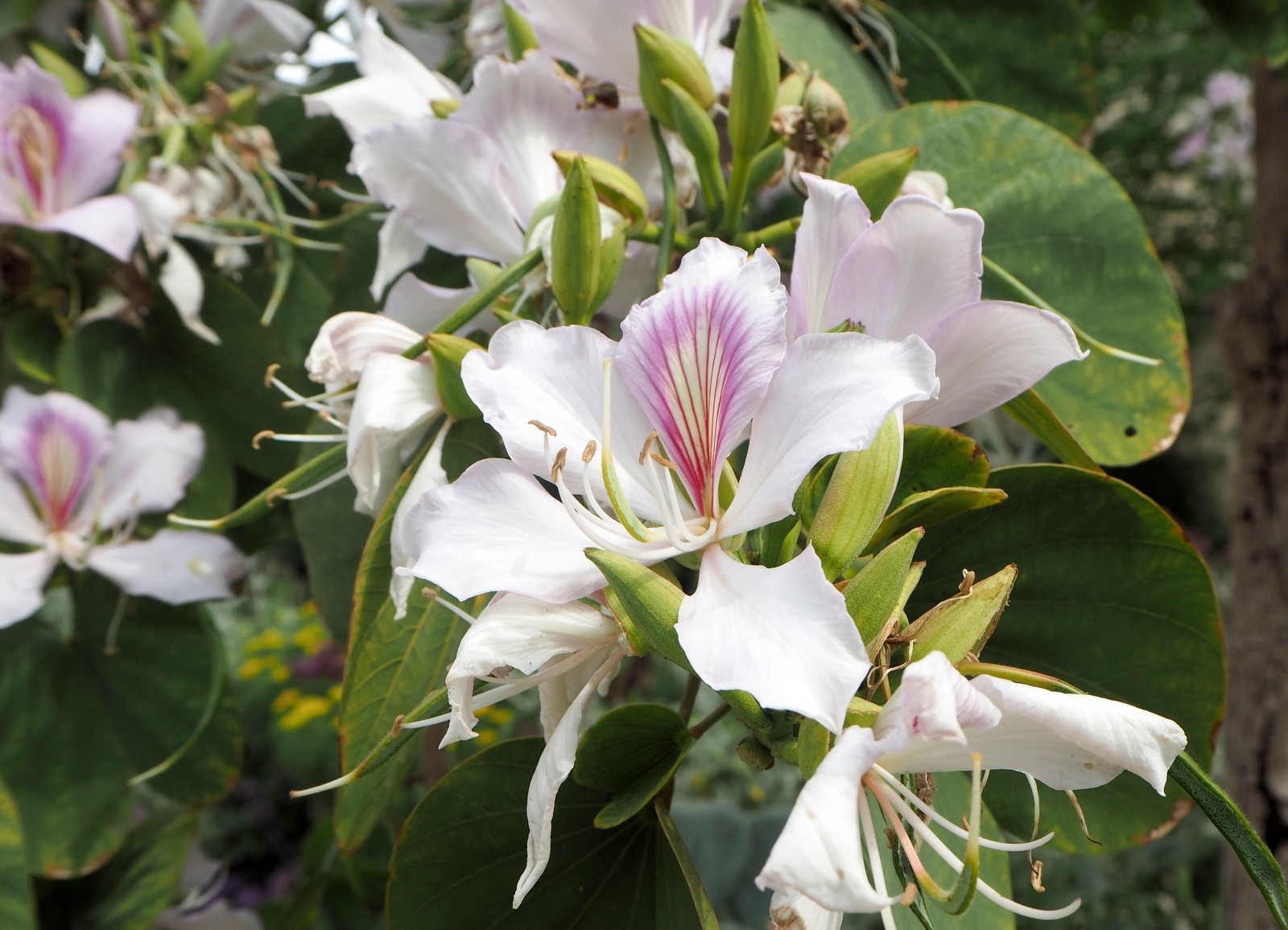 Le Jardin Secret Marrakesh