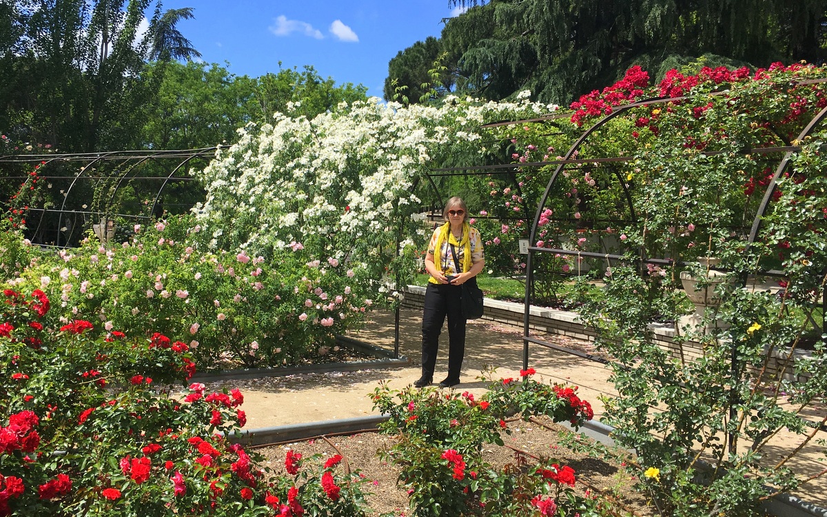 Madrid Parque de Oeste rosegarden - Madrid ruusujen kaupunki