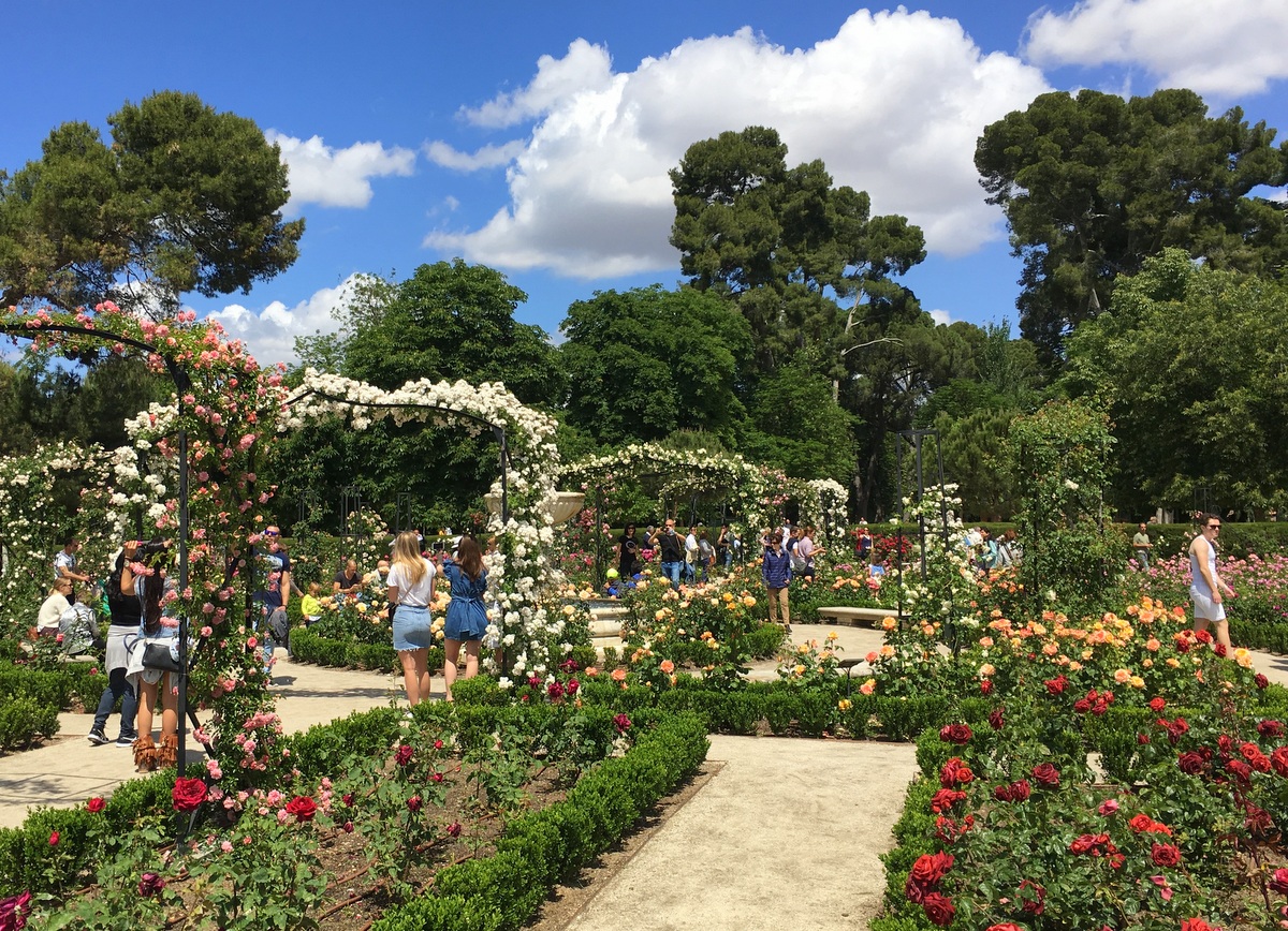 Madrid Retiro Rosaleda rosegarden