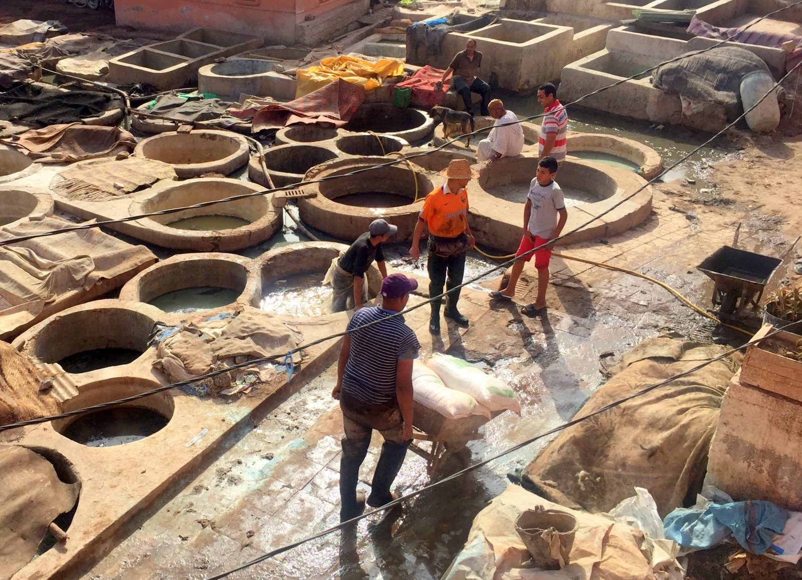 Marrakesh medina Tannery