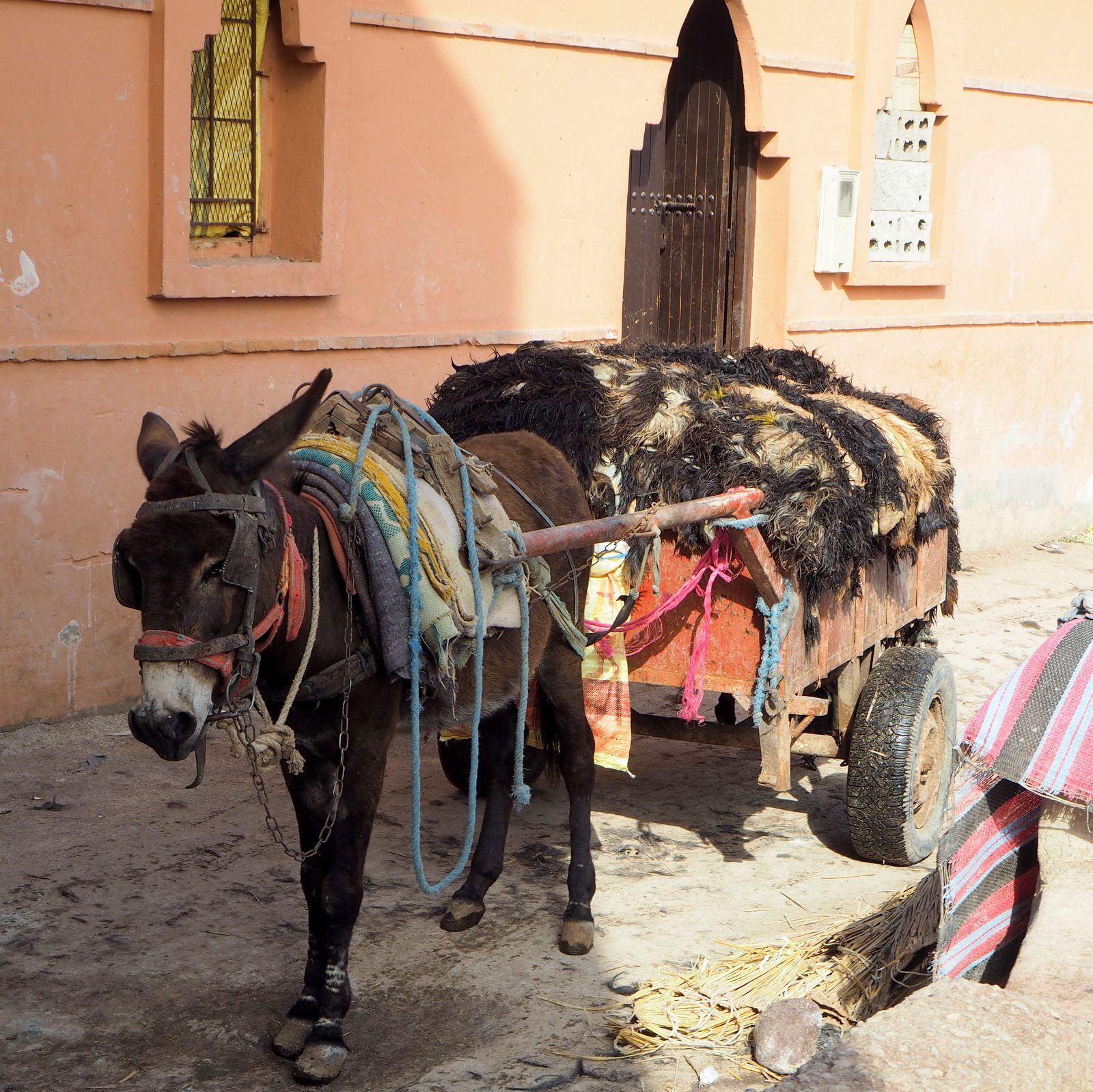 Marrakesh medinaTannery