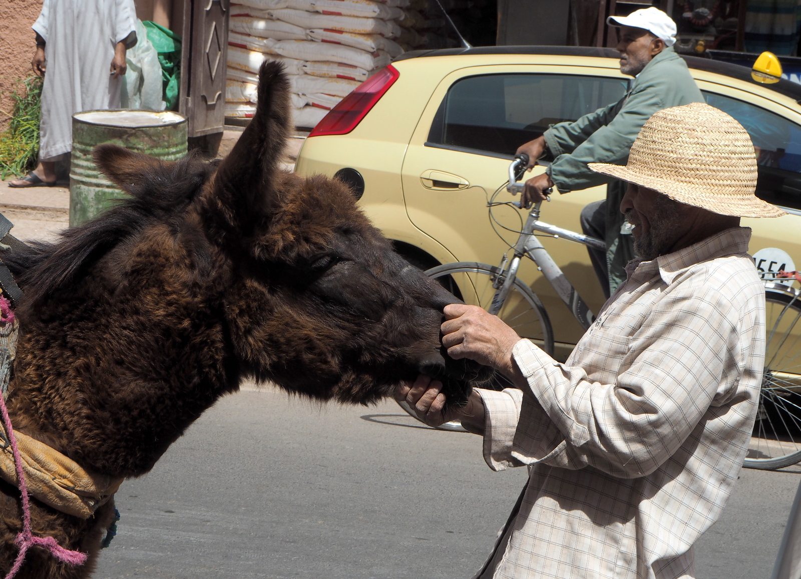 Marrakesh medina trafic