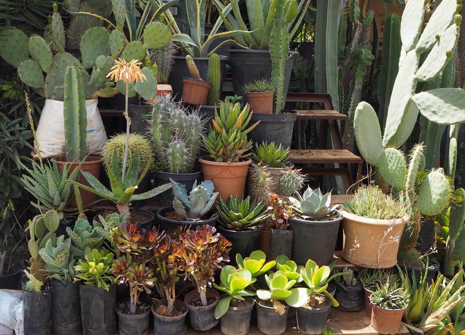 Marrakeshin medina Jemaa el-Fna