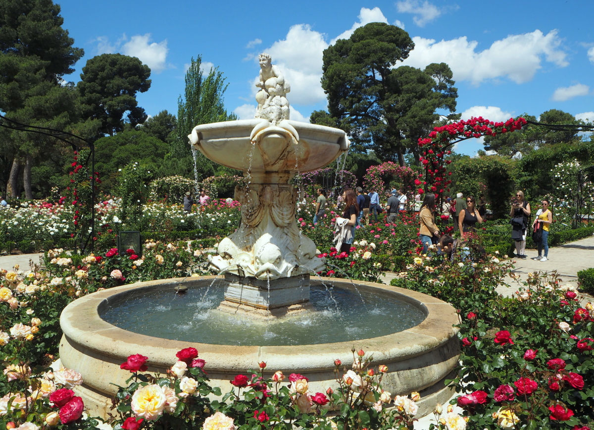 Madrid Retiro Rosaleda rosegarden