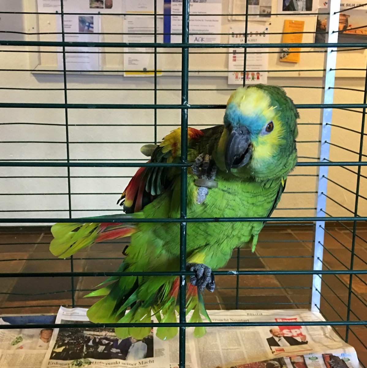 Merimieskirkko Hampuri satama alue