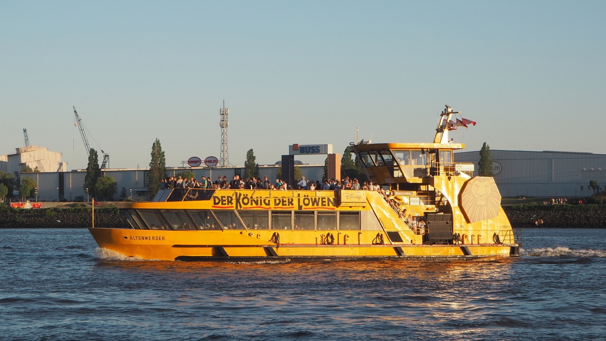 Der König Der Löwen Hamburg