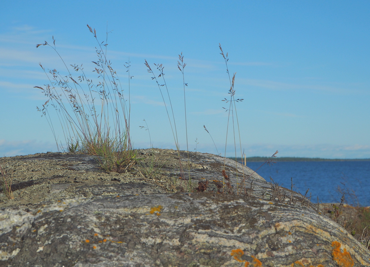 Sälgrund luontopolku