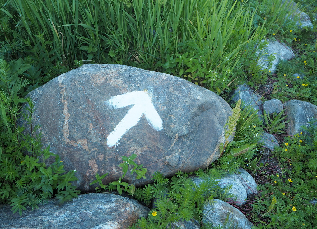 Sälgrund luontopolku