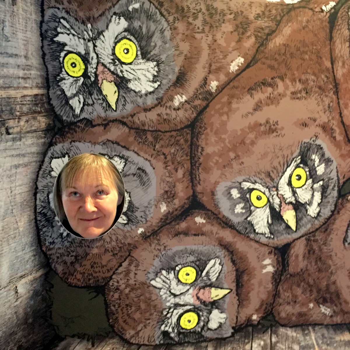 Vapriikki Luonnontieteellinen museo