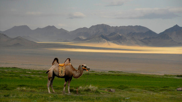 Mongolia Bucket List 2018 ja 2019