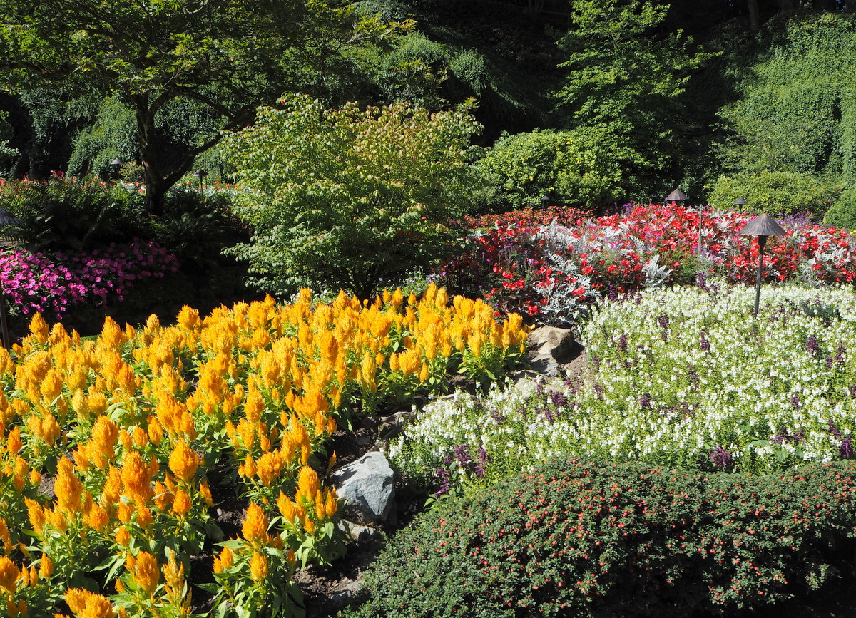 Butchart garden Vancouver Island