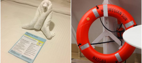 Norwegian Sun feature