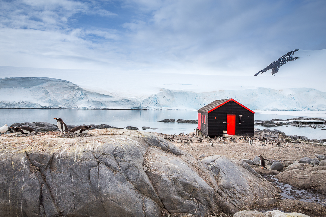 Adalmina's Adventures Antarktika