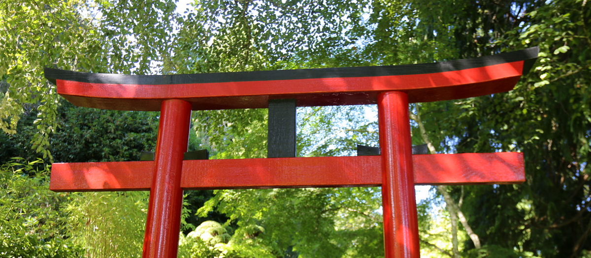 Vancouver Island feature