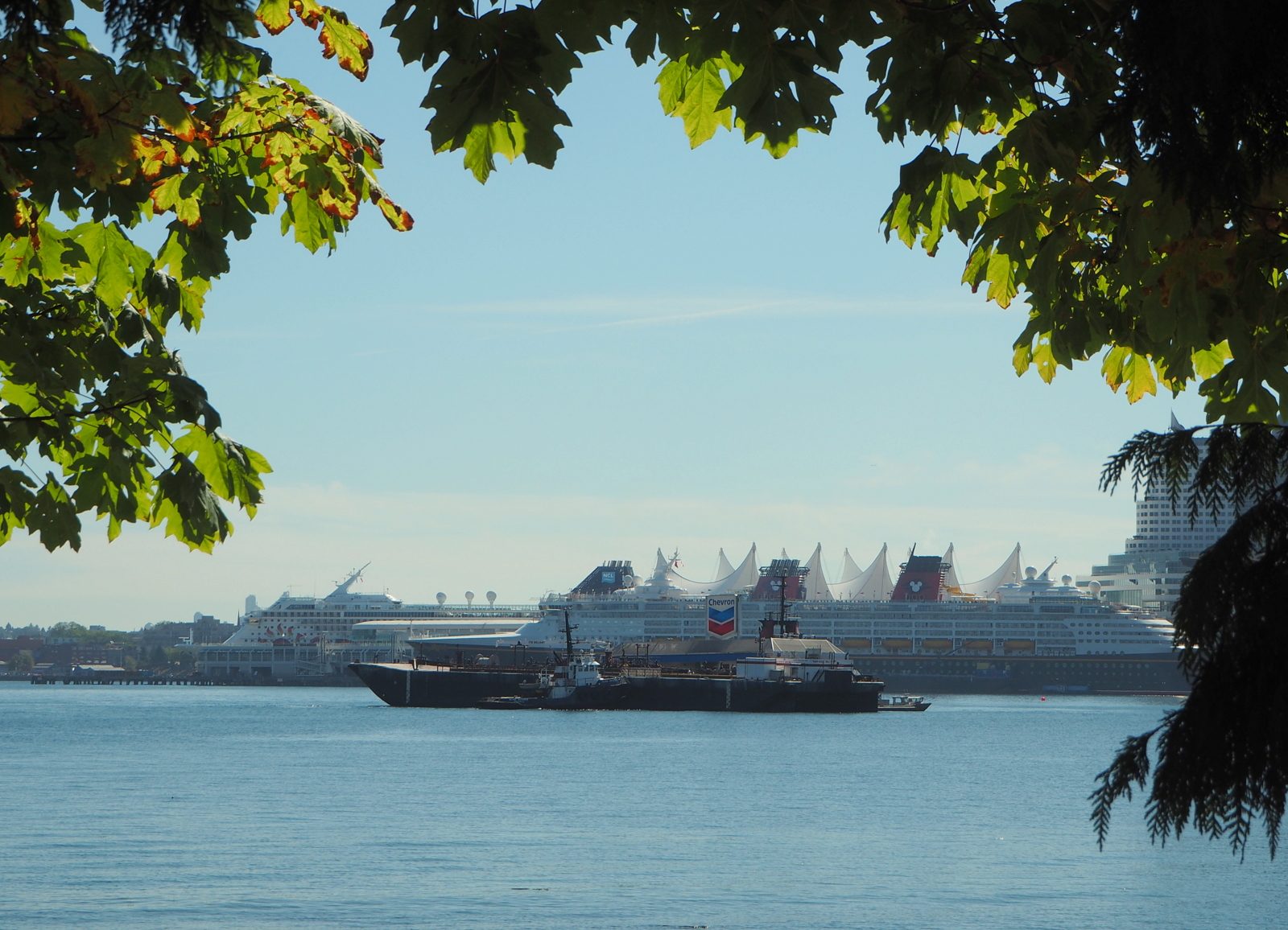 Stanley Park Vancouver