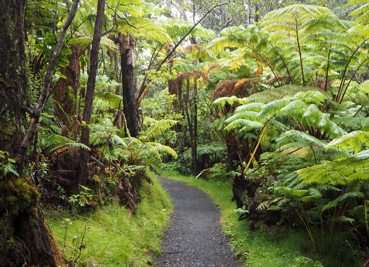 Hawaii Volcanoes National Park