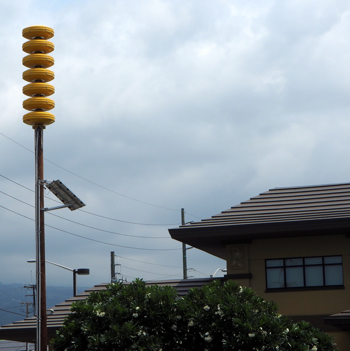 Big Island tsunami warning