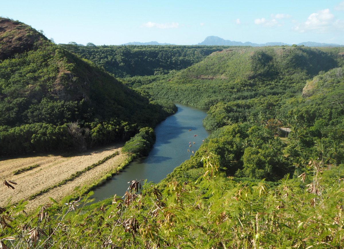 Waimea River Kauai