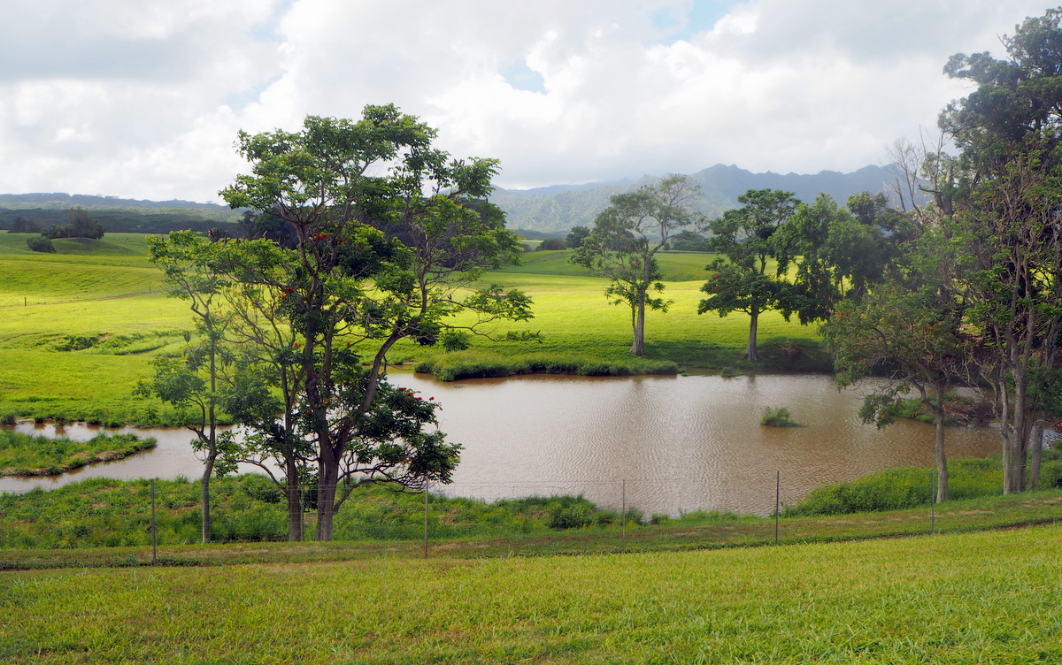 Jurassic Park Kauai Havaiji