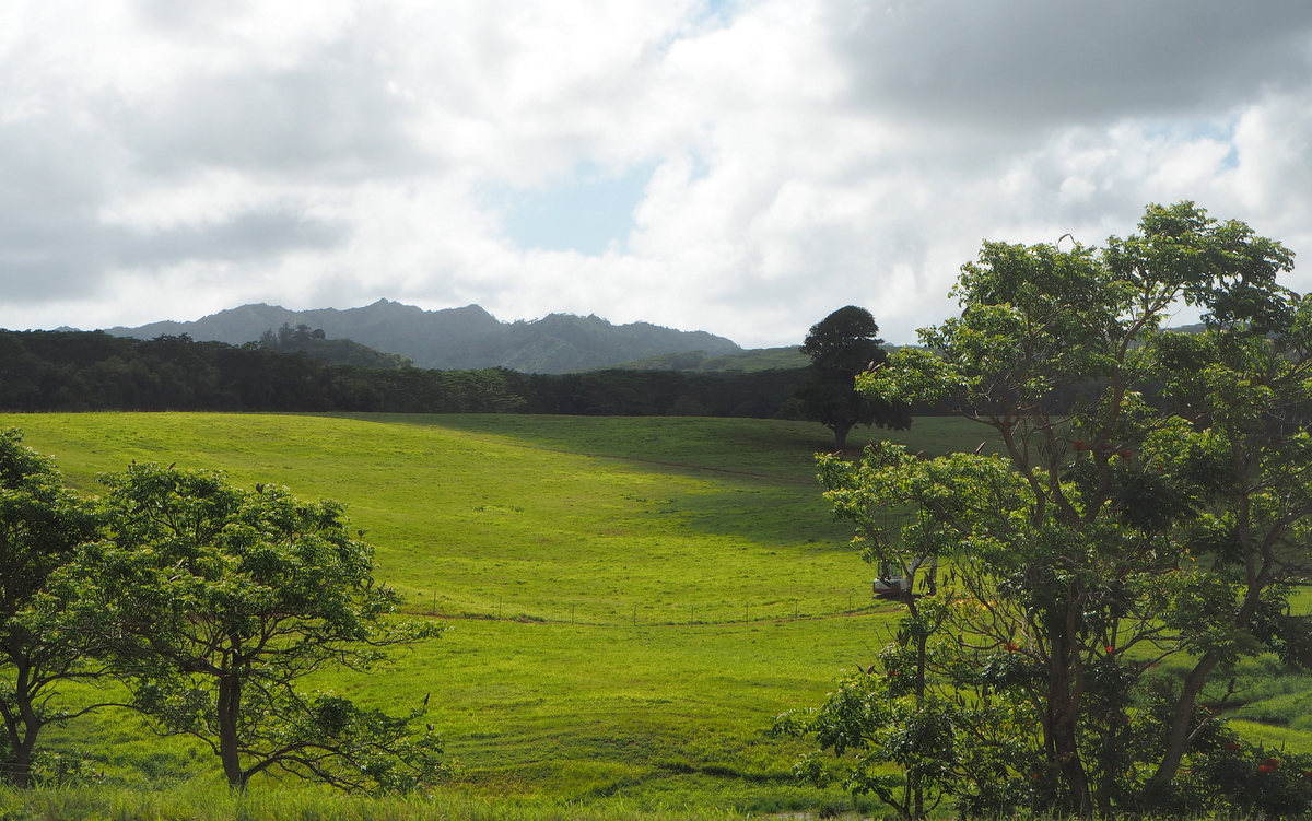 Jurassic Park Kauai Havaiji
