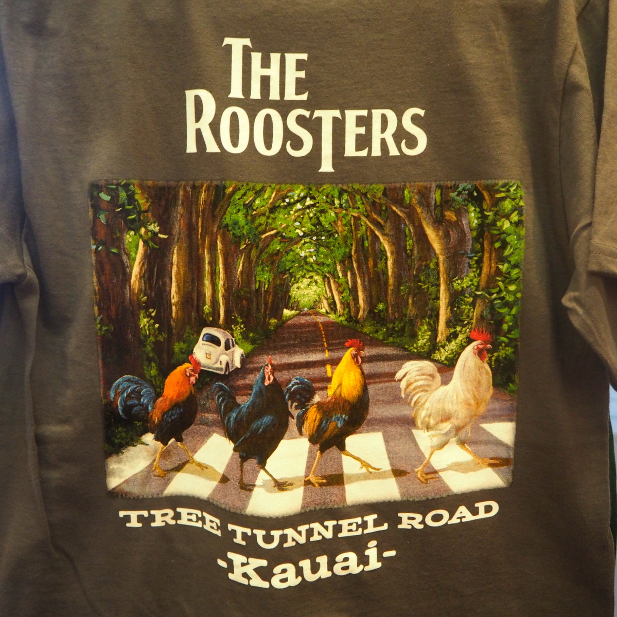 Kauai Tree Tunnel Road