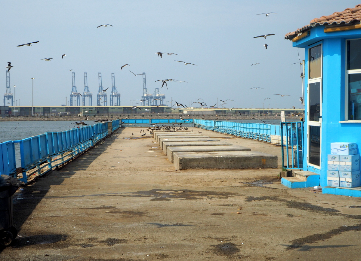 Jedda kalatori Punaisenmeren rannalla