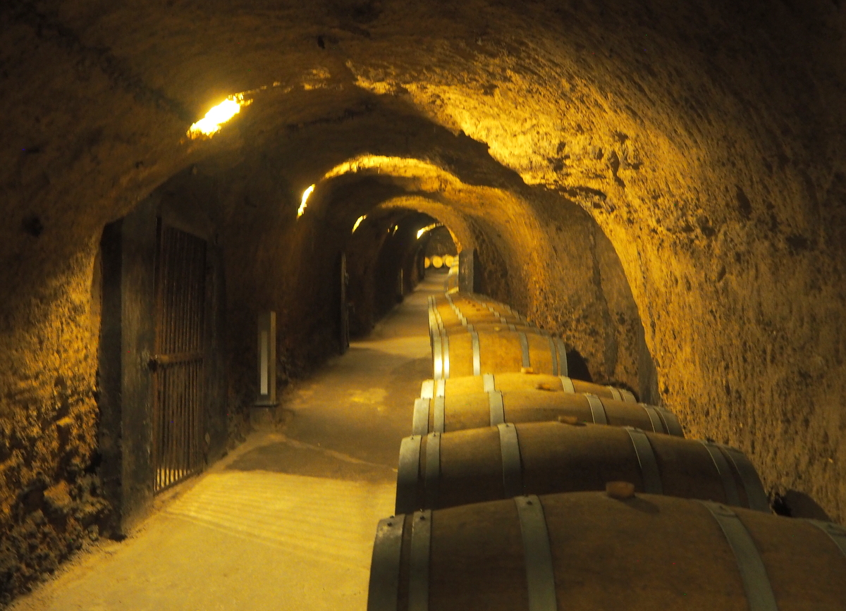 Ksaran viinitila Libanon