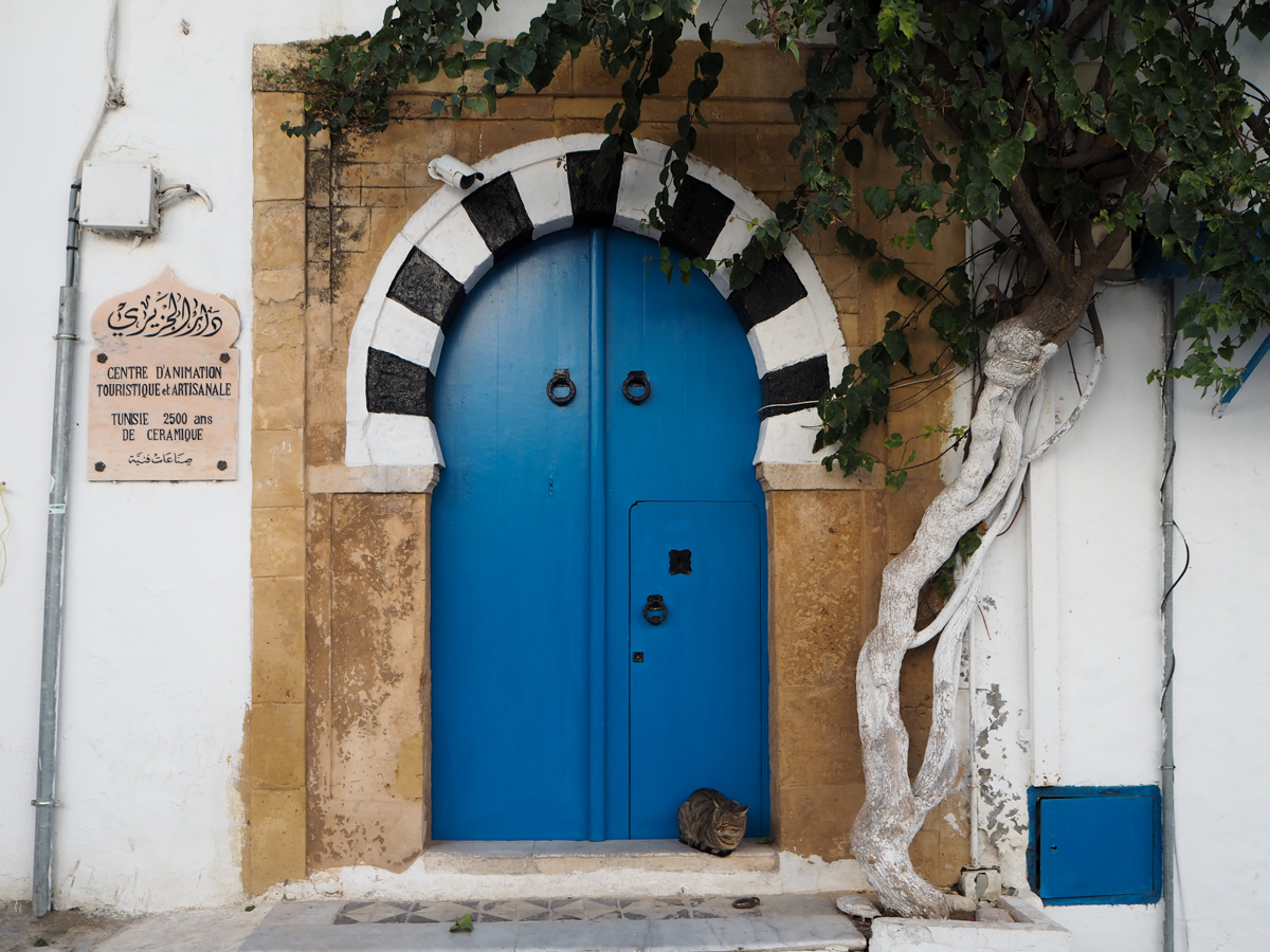 Sidi Bou Said kissat