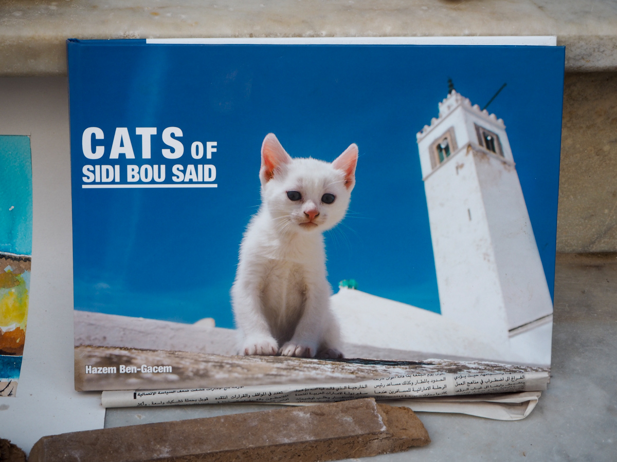 Sidi Bou Said kissat