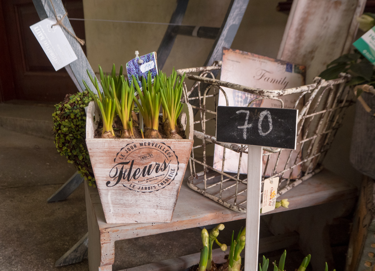 Cesky Krumlov kustannukset