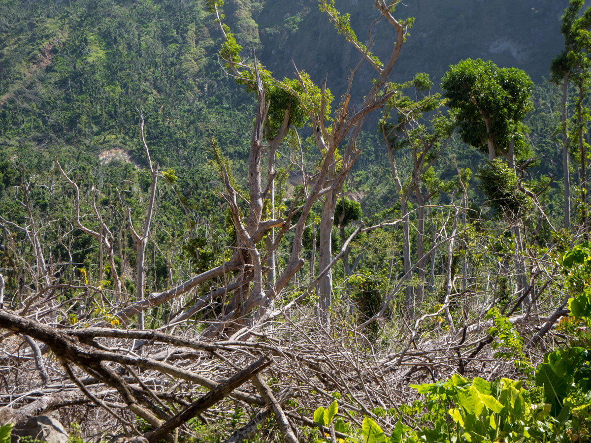 Dominica Waitukubuli