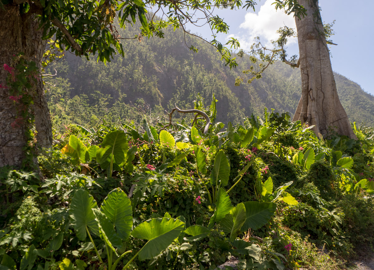 Dominica Waitukubuli