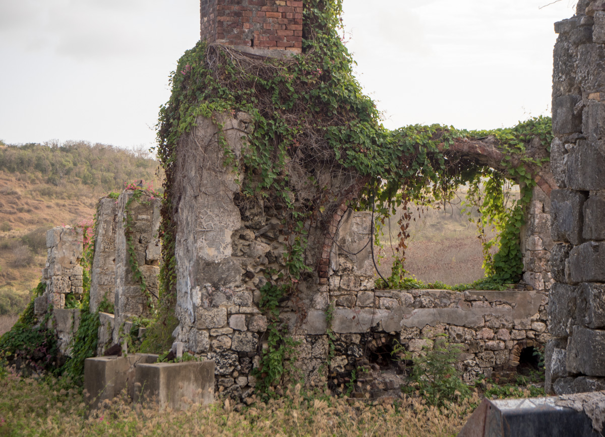 Barbados vanha sokeritehdas