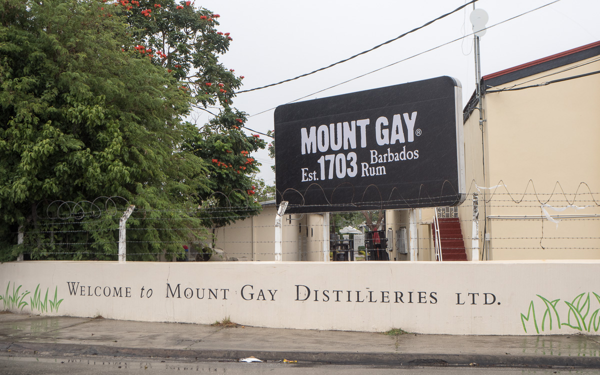 Barbados Mount Gay