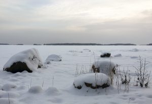 Haukilahti Arkikuvia