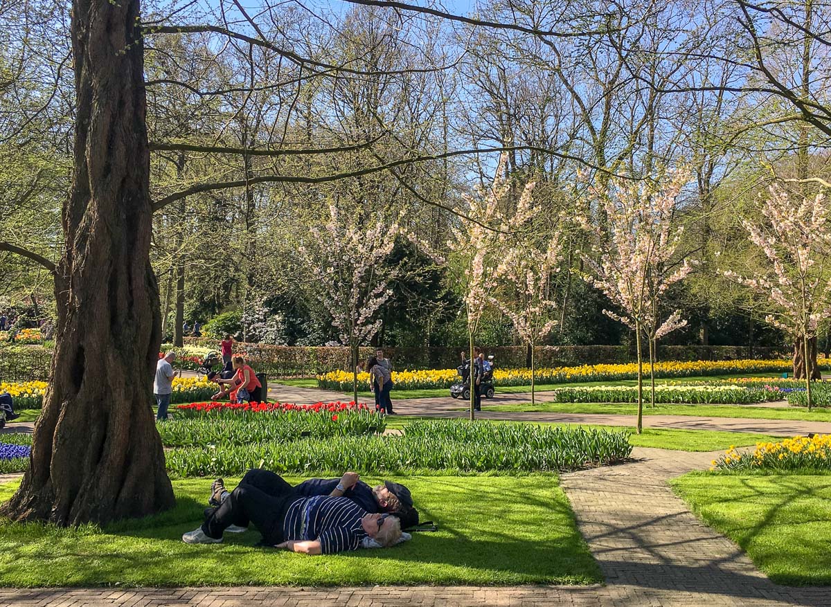 Keukenhof