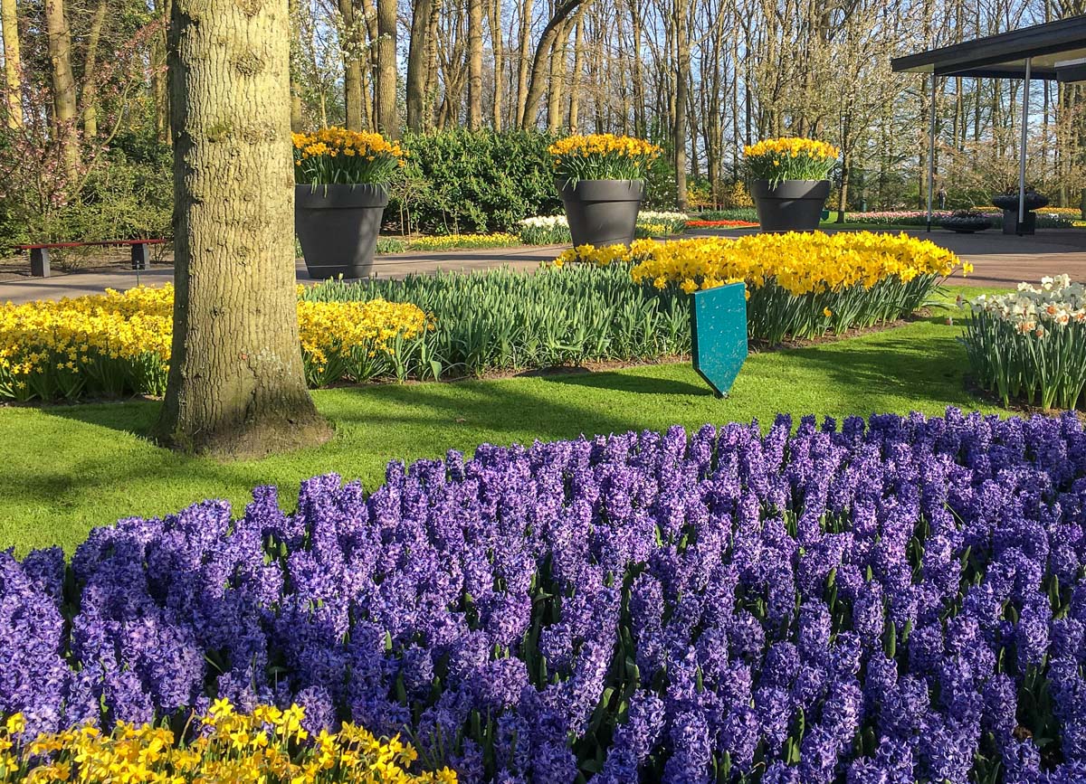 Keukenhof
