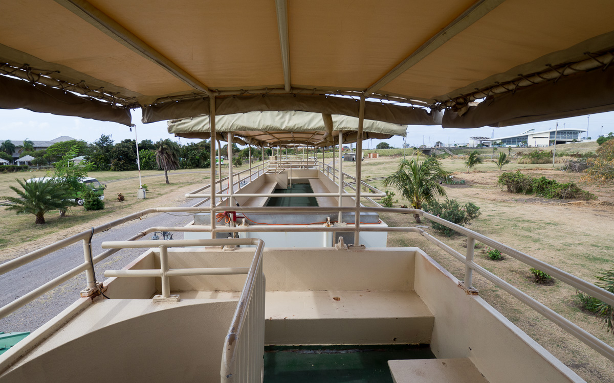 Saint Kitts ja Nevis