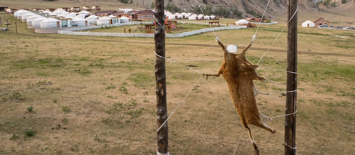 Tereljin luonnonpuisto