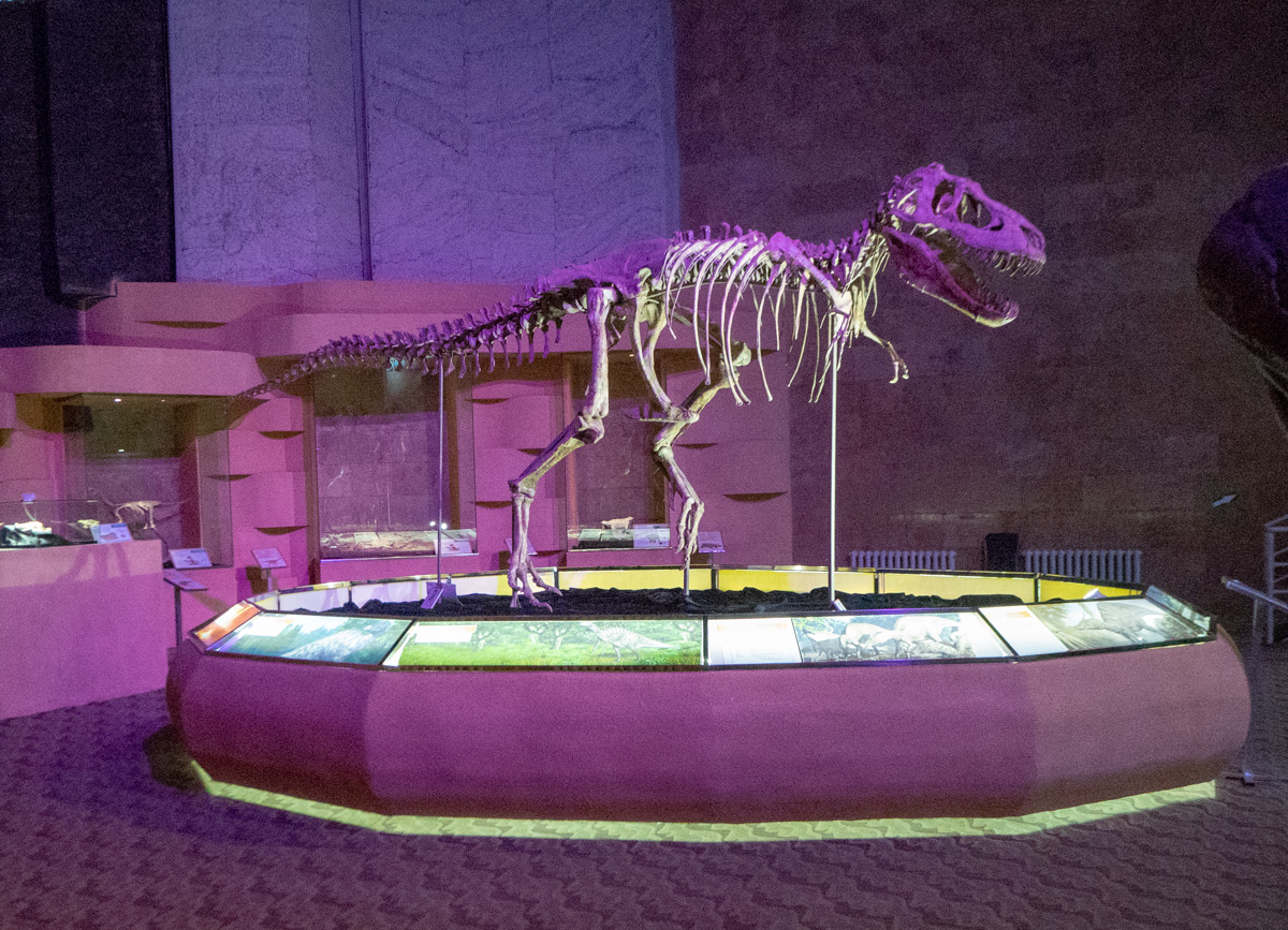 Tsingis-kaanin jäljillä Mongolia