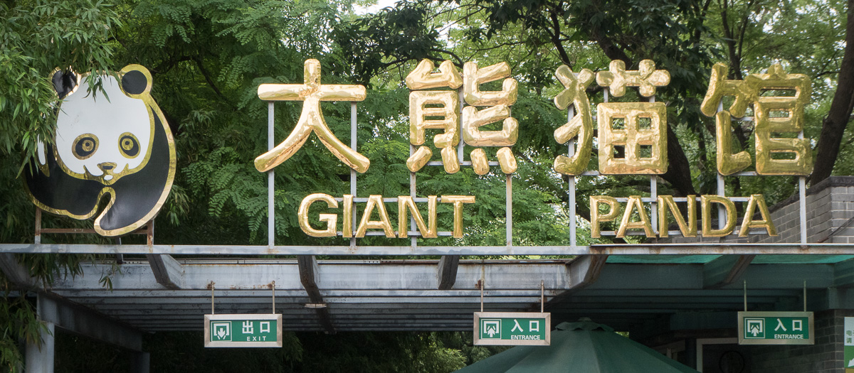 Peking Beijing Panda