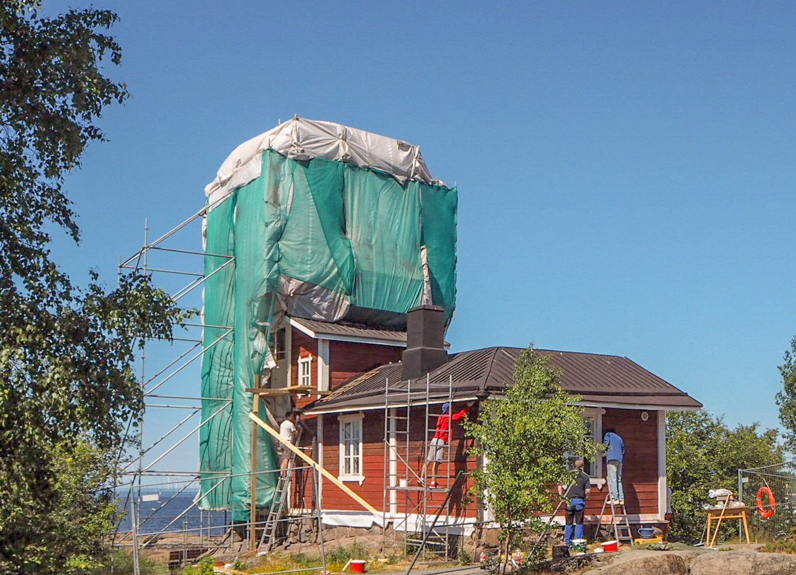 Kylmäpihlaja Kallo Säppi: Kallo