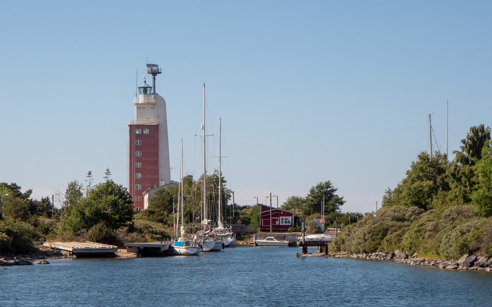 Kylmäpihlaja Kallo Säppi - Kylmäpihlaja