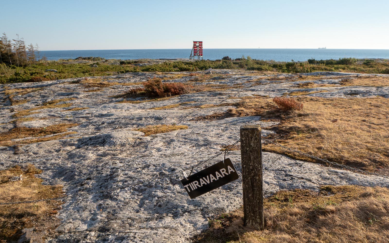 Kylmäpihlaja tiirat