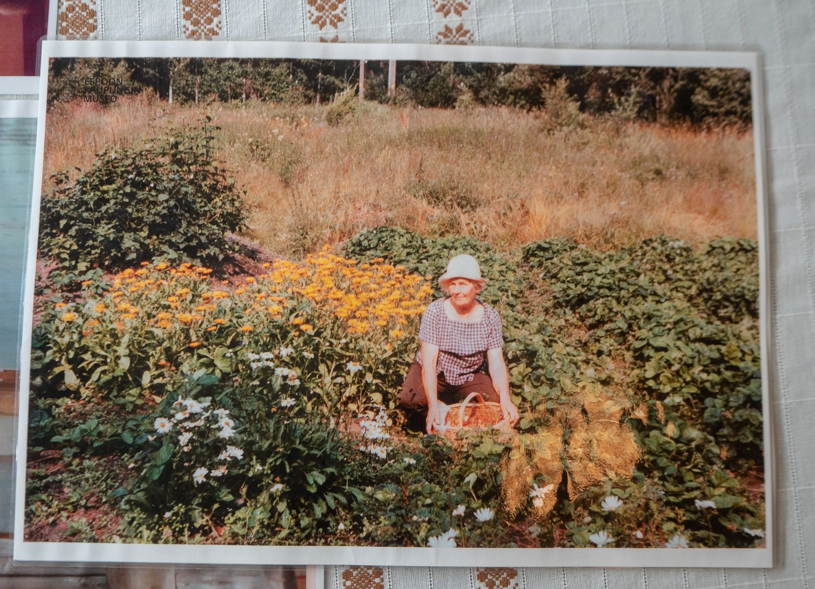 Saaristomuseo Pentala Gurlin talo