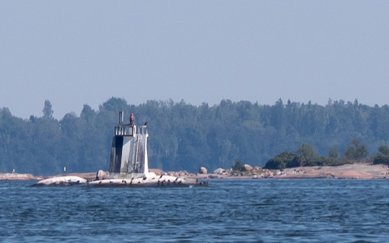 Lokkiluoto Pihlajasaari